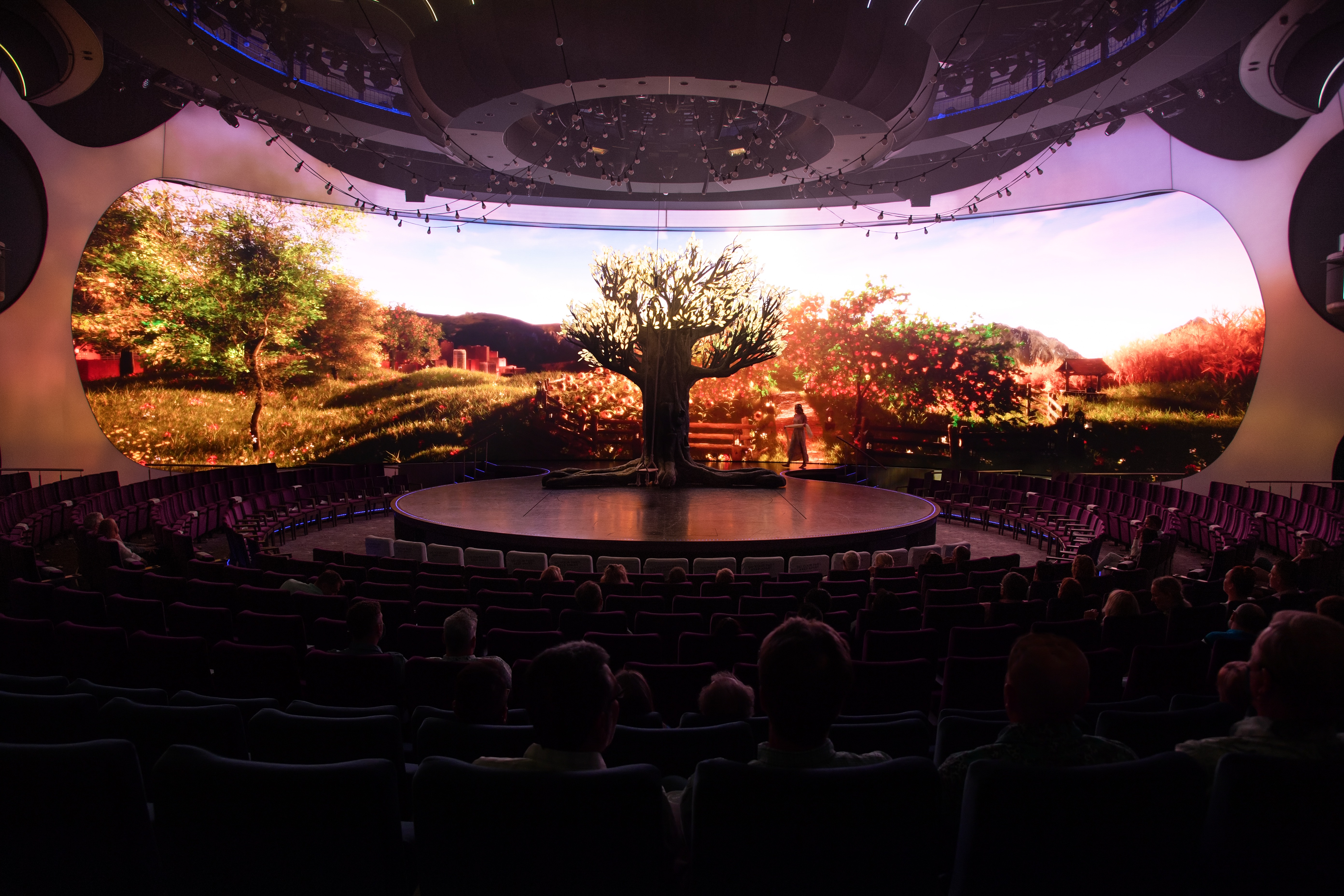 Celebrity Apex - The Theatre